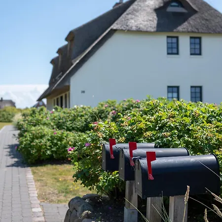 Bohosylt 8 * Wenningstedt-Braderup